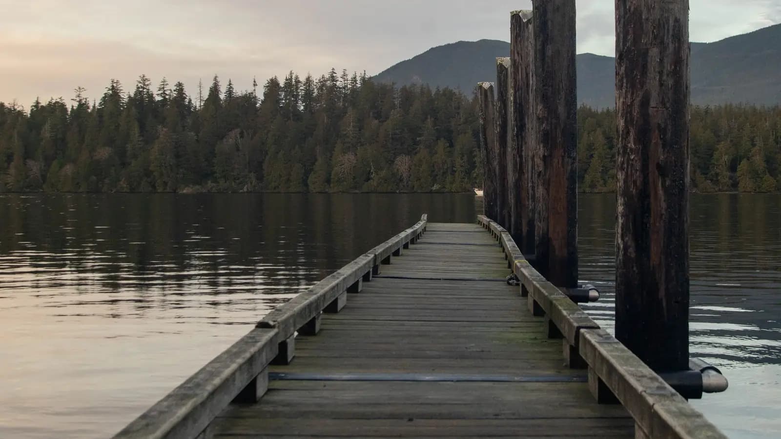 Wooden dock extending over a quiet lake cove with a forested shoreline